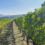 Tuscany 2027 Experience