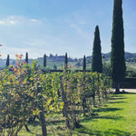 Tuscany 2027 Experience