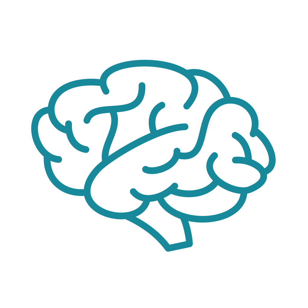 brain