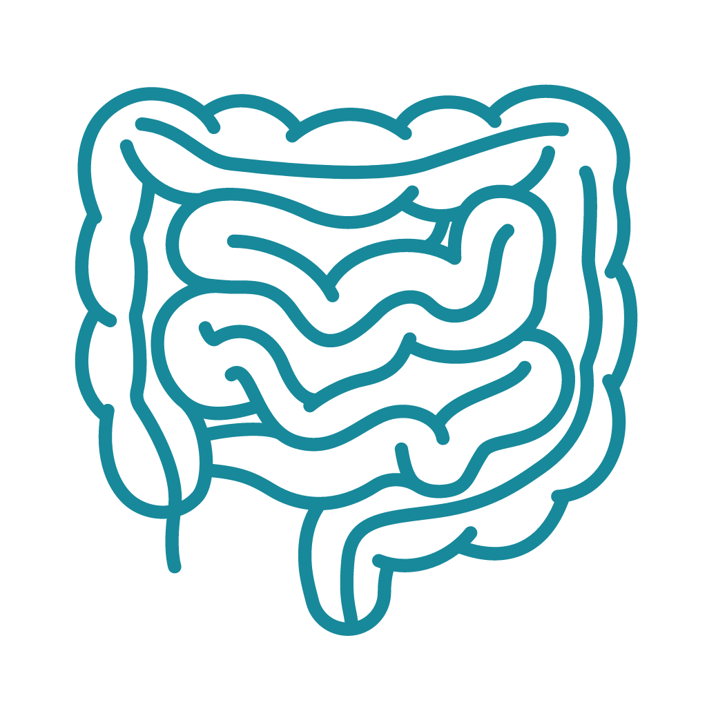 digestion-1