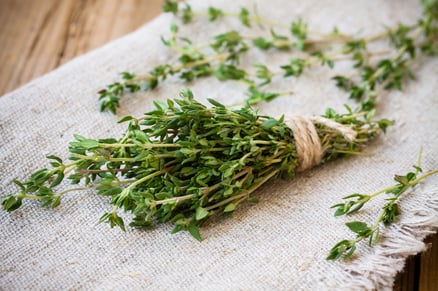 thyme
