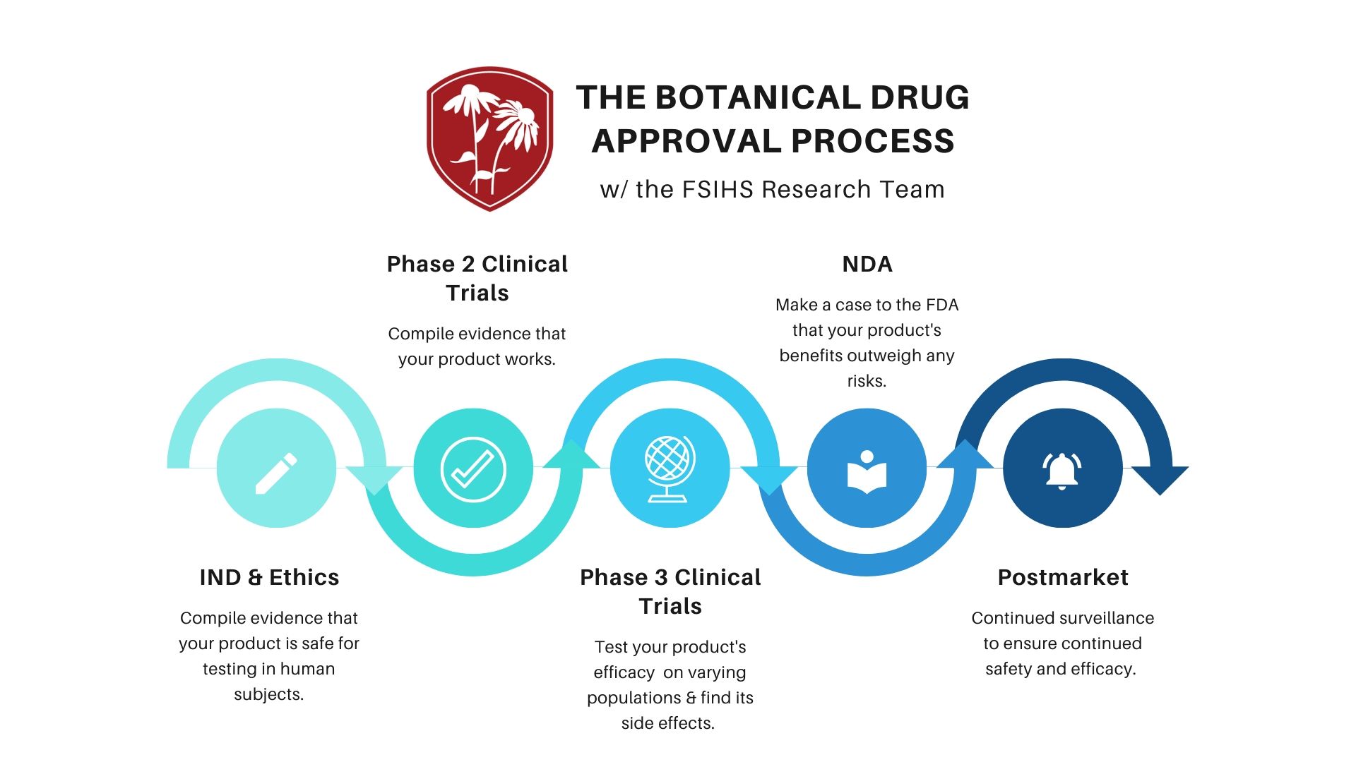 Drug Development: Step by Step