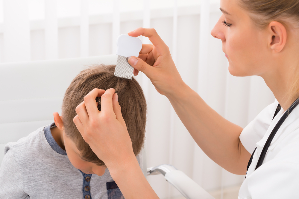 Lice: What Every Parent Needs to Know