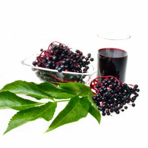 Therapeutic elderberry fruit on white isolated background