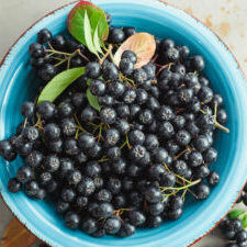 Aronia, commonly known as the chokeberry, with leaves