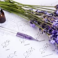 lavender and essential oils in front of white background