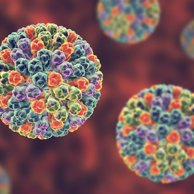 Rotaviruses, the causative agents of diarrheal infection in children. 3D illustration